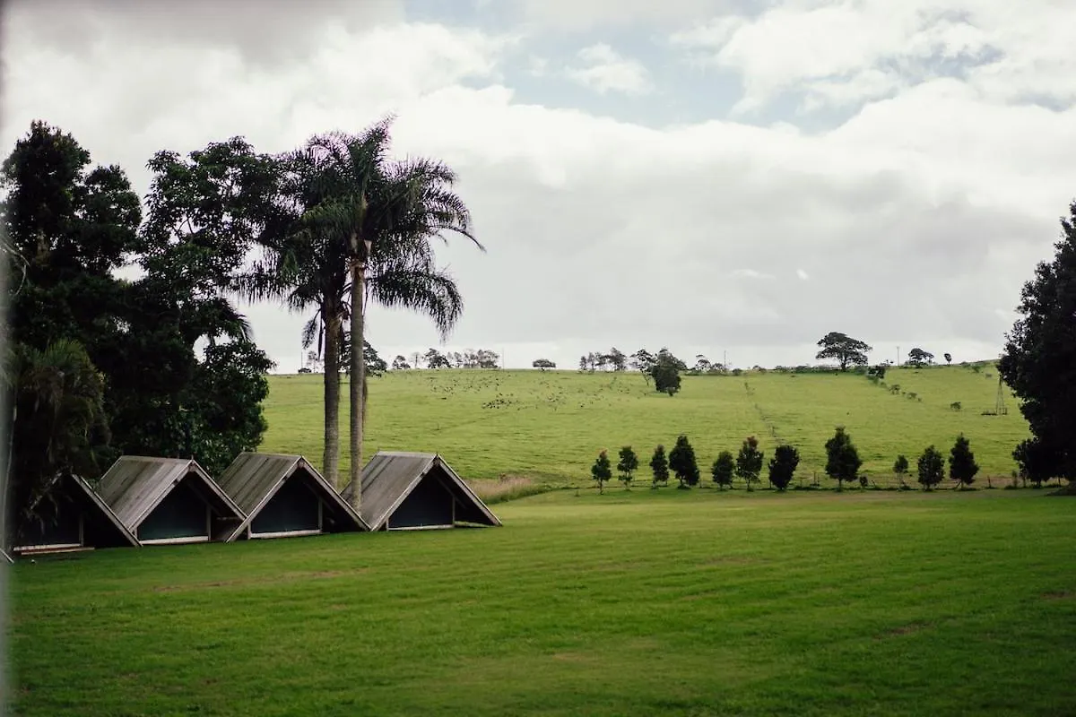 Maleny Retreat - Pay 3 Stay 4 Nights! First 3 Bookings Only! Booroobin 0*,  澳大利亚